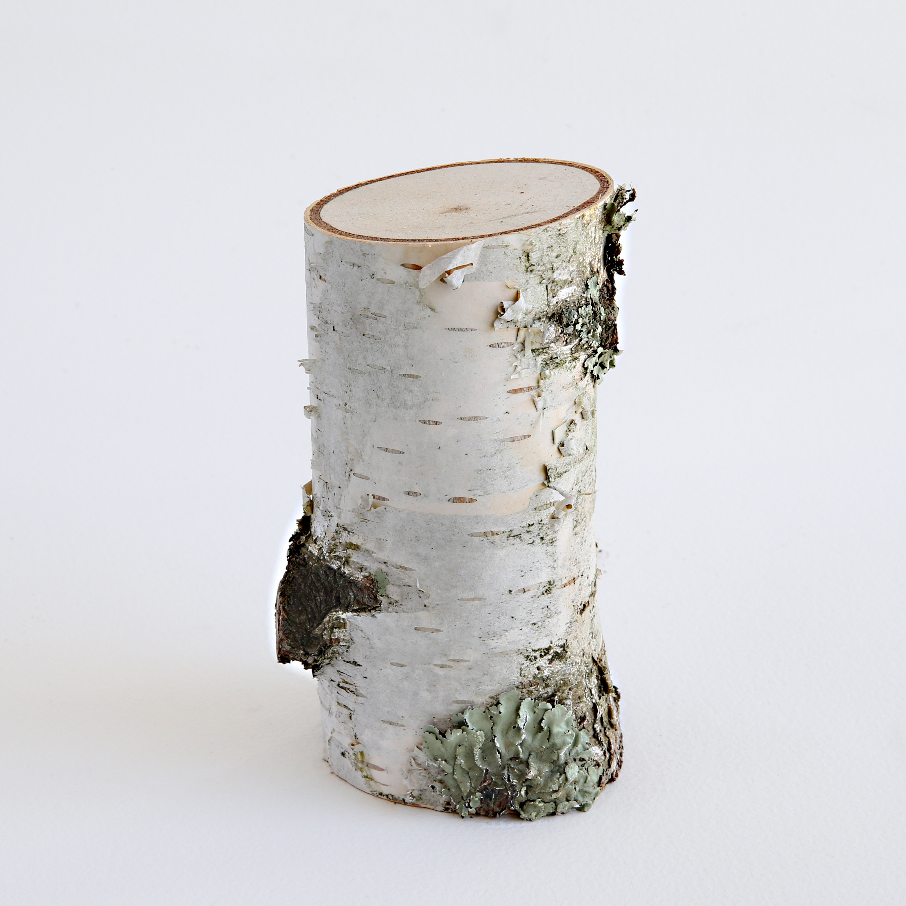 Birch